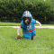 Dog football player (awesome costume)
