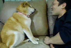 “Mouth wash. Buy it.”