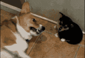 And Will Find A Way To Make It Better.