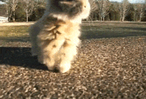 29 Celebratory GIFs Fit For Any Occasion