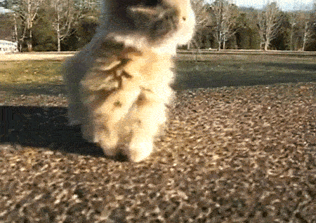 29 Celebratory GIFs Fit For Any Occasion