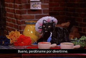 29 Señales que te dirán si eres el gato Salem Saberhagen