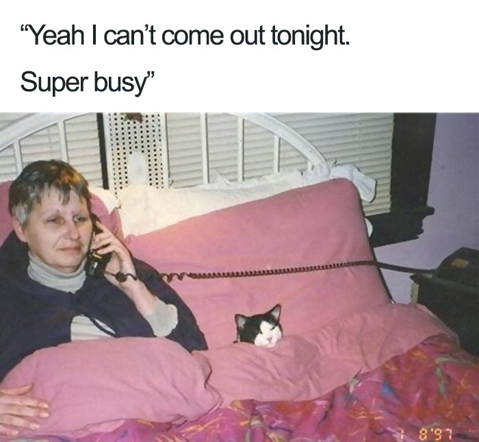 Introvert Memes