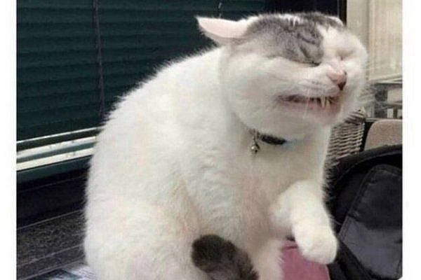 30 Memes Only Men Will Understand. - Funny Gallery