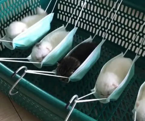 30 Times The Human Brain Came Through In Fascinating Ways