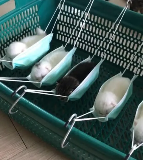 30 Times The Human Brain Came Through In Fascinating Ways