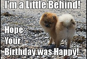 35 Best Happy Belated Birthday Memes | SayingImages.com