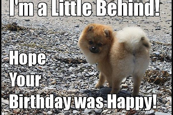 35 Best Happy Belated Birthday Memes | SayingImages.com