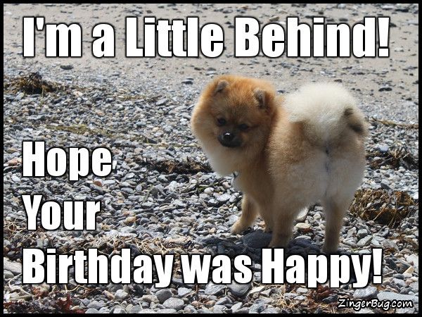 35 Best Happy Belated Birthday Memes | SayingImages.com