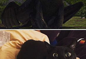 10+ Black Cats That Are Actually Toothless In Disguise