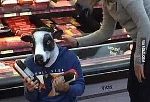 37 New Funny Pictures You're Going To Love