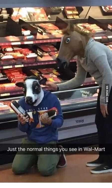 37 New Funny Pictures You're Going To Love