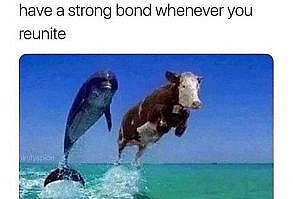 40 Random Memes To Make Your Day A Tad More Interesting