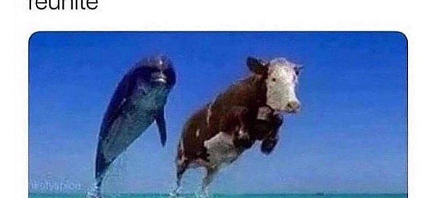 40 Random Memes To Make Your Day A Tad More Interesting