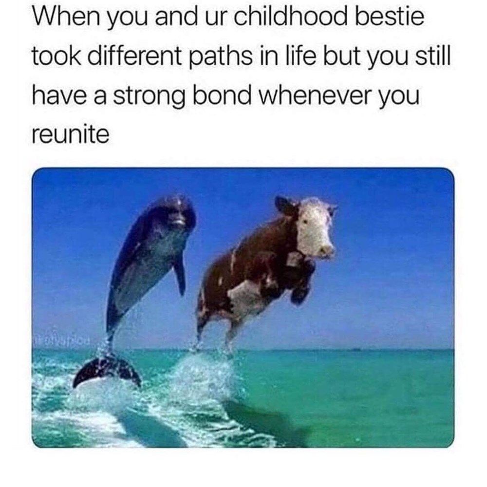 40 Random Memes To Make Your Day A Tad More Interesting