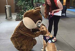 Chip and Dale, Rescue Rangers!! Woo Hoo!!