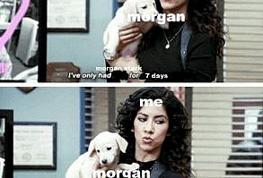 Cheezburger Image 9304574208