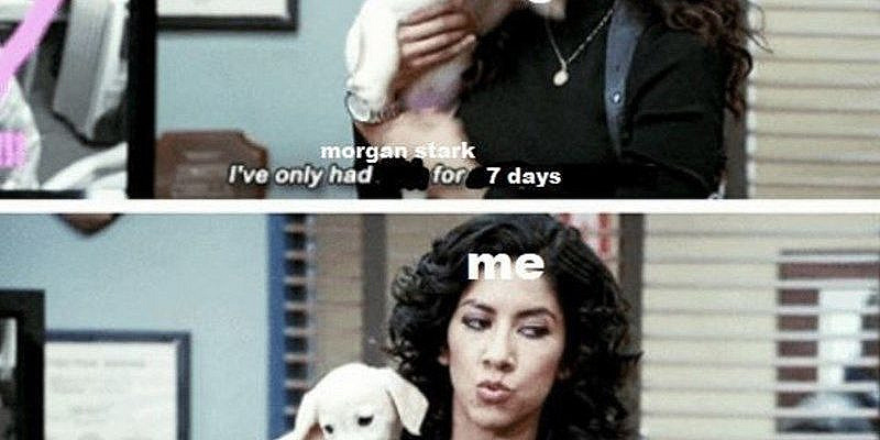 Cheezburger Image 9304574208