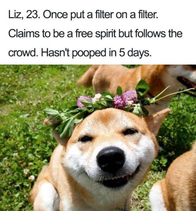 Cheezburger Image 9072096768