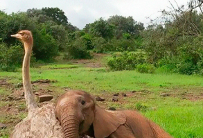 Wait-This-Is-Wholesome-Pics