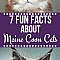 Learn 7 Interesting and Fun Facts About Maine Coon Cats You May Not Know! Maine Coons are an amazing breed of cat so learn all you can before adopting them as pets! #mainecoon #facts #cats