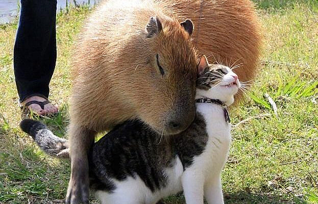 7 Things A Son Needs From His Father – InspireMore