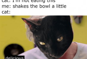 84 Funny Memes To Help You Scroll Your Way To Happiness - Memebase - Funny Memes