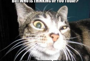 85 Happy Belated Birthday Memes for When You Just Forgot