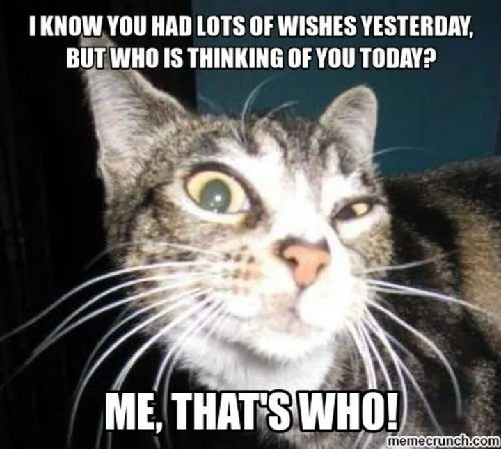 85 Happy Belated Birthday Memes for When You Just Forgot