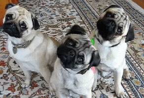 9 Struggles Only Homebodies Understand, Because Wanting to Just Stay In Every Night Is Harder Than It Seems