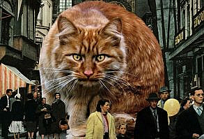 Artist Shows What It Would Be Like If The World Were Inhabited By Giant Cats (92 New Pics)