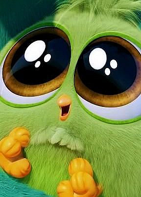 ANGRY BIRDS [Video] | Cute bunny cartoon, Funny cartoon gifs, Anime romans