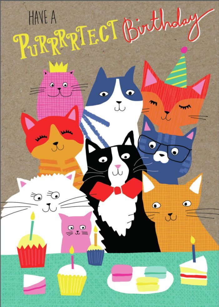 Charlotte Pepper - CAT PARTY