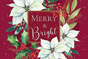 Di Brookes | Advocate Art