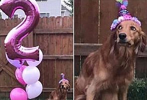 Afternoon Funny Picture Dump 39 Pics