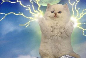 In case the #TBLightning need inspirational art to put up in the locker room ... | #StanleyCupPlayoffs2015 #NHL #hockey