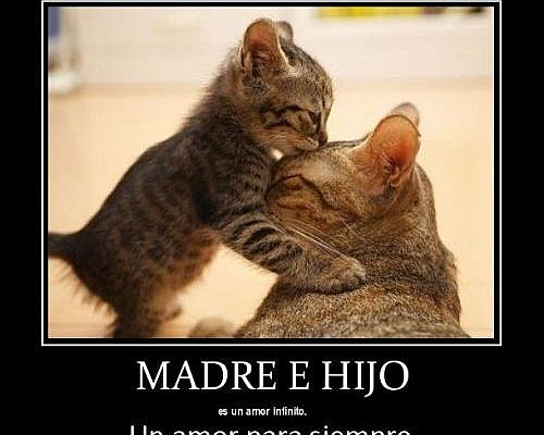 Amor de Madre es