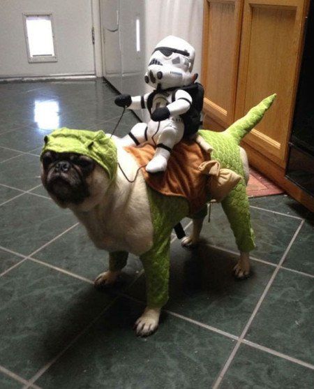 Aterrorizantes ideias de Halloween para cachorros