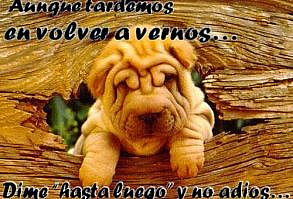 Aunque tardemos en volver a vernos ....