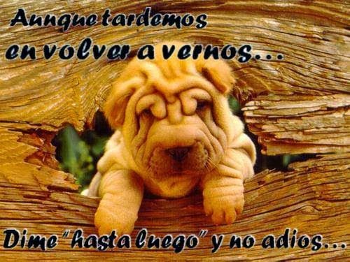 Aunque tardemos en volver a vernos ....