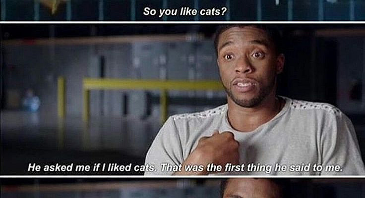 Avengers gif Preferences series - They make a funny face ... Oct 21 2020 - Read They make a funny face from the story Avengers gif Preferences series by TonyaEllis (Tonya Ellis) with 573 reads. wattys2018 avengers picture. Tony : N...