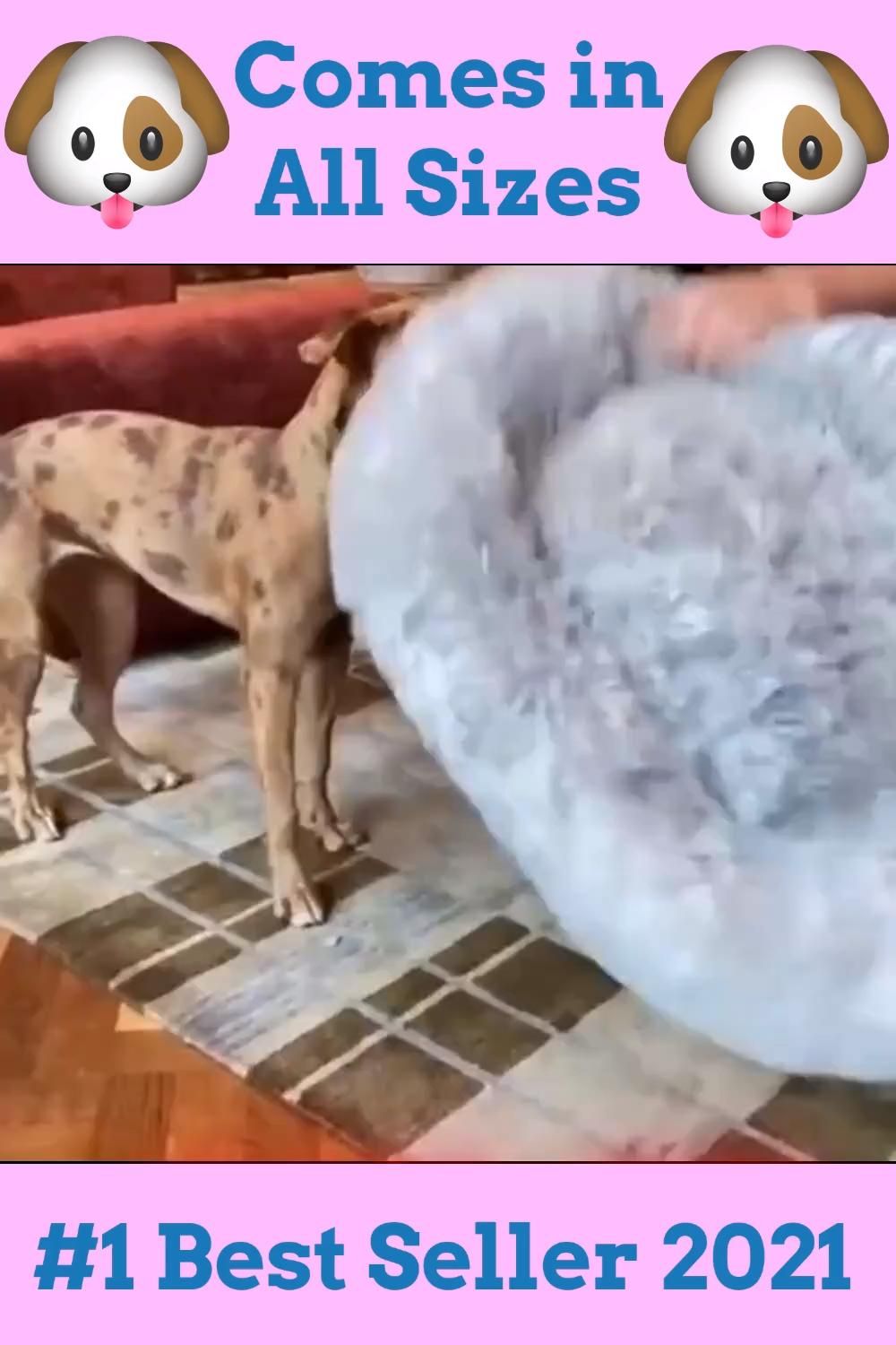 🐾 The Best Gift You Can Offer Your Pet 🐾