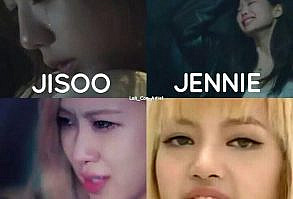 Memes robados y gif's gays de las NEGROROSAS. #fanfic # Fanfic # amreading # books # wattpad