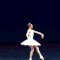 Ballet Beautiful | ZsaZsa Bellagio - Like No Other