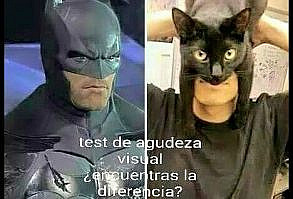 Cartel de humor Batman gato
