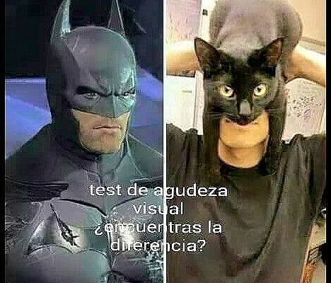 Cartel de humor Batman gato