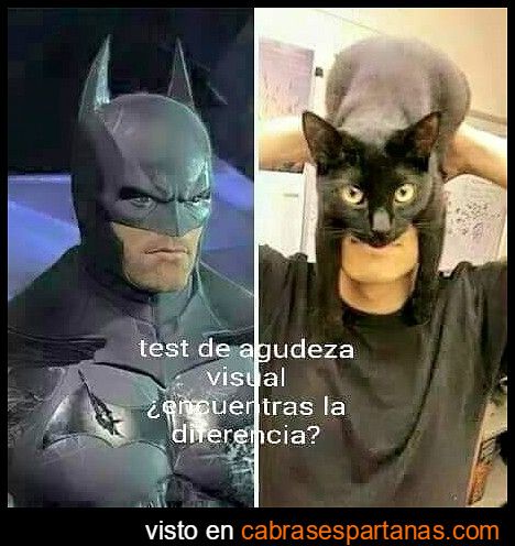 Cartel de humor Batman gato