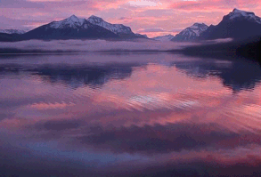 Jerology animated GIF