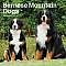 Bernese Mountain Dogs Wall Calendar: Bernese Mountain Dogs Wall CalendarThe big, beautiful Bernese Mountain Dog hails from Switzerland. Bred for heavy farm work in harsh alpine conditions, these sweet, smart, and gentle dogs make wonderful family companions. Steady and friendly, they love children. Fans of this happy breed are sure to enjoy this delightful Bernese Mountain Dogs square wall calendar. Includes a free download of the DogDaysâ„¢; app for the smartphone and tablet, which grants access to the worldÂ’s most captivating dog photos and