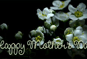 Blooming White Flowers